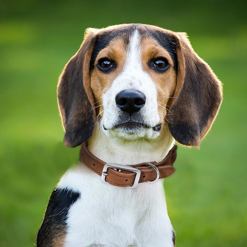 Mile High Life Rope Dog Collar | Durable Braided Cotton Rope Collars | Genuine Leather Dog Collar w Metal Pin Buckle | Classic Puppy Collars for Medium Dog (Dark Brown) - Image 2